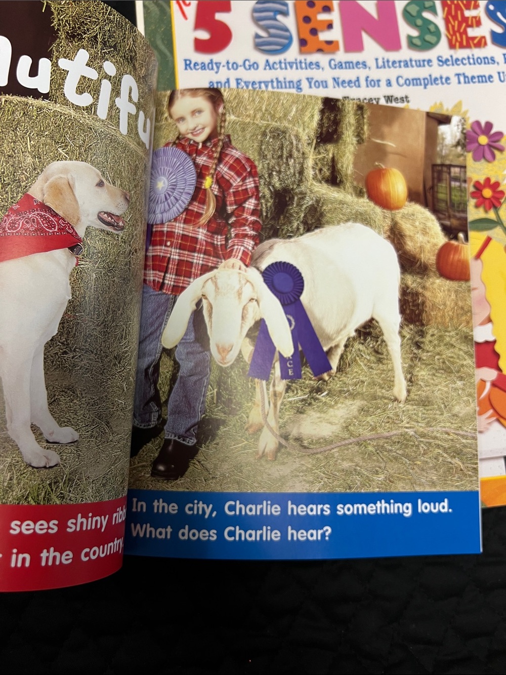Resource Books - Picture 3 of 12